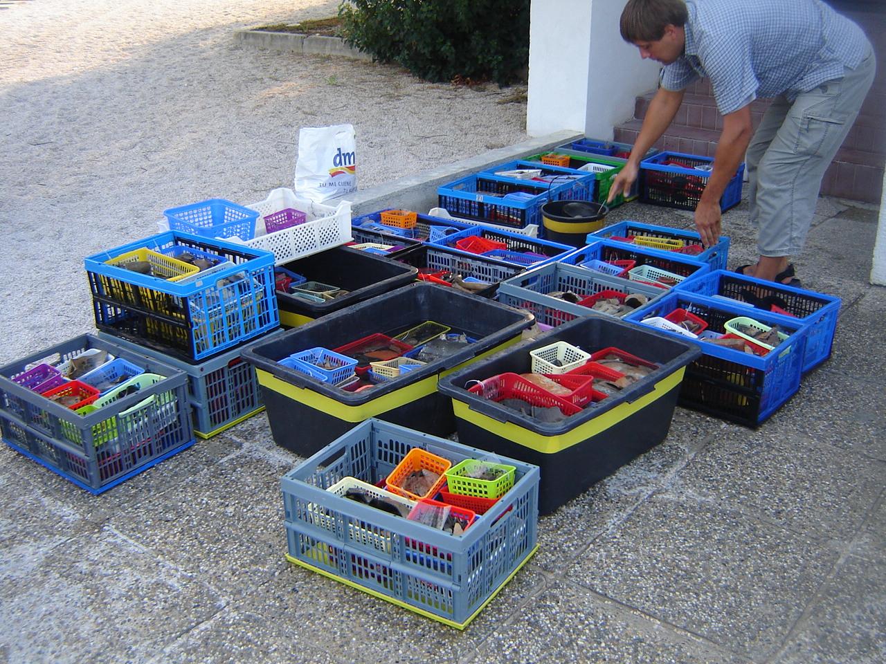 Temporary conservation tanks and storage crates
